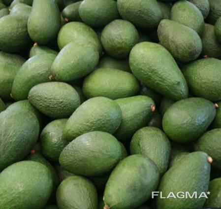 100% Natural Fresh Avocado