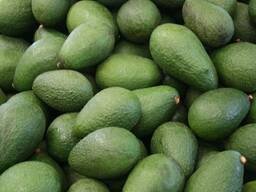 100% Natural Fresh Avocado