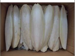 2023 Hot Sale Cuttlefish Bones Dried cuttlefish bone Cuttle fish bone