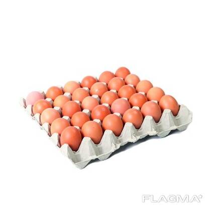 Best Quality Fresh Brown Table Chicken Eggs/White Table Chicken Eggs / Fresh Farm Eggs