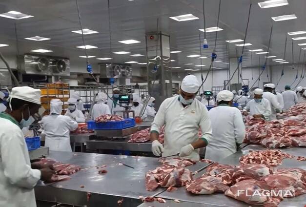 Buffalo Meat (Halal), Sheep Tail Fat