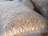 Boiler Biomass Wood Pellet - фото 1