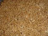 Europe Wood Pellets DIN PLUS / ENplus-A1 Wood Pellets - photo 1