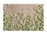 Factory Supply Yunnan Green Arabica Coffee Yunnan Small Grain Coffee - photo 1