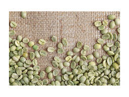 Factory Supply Yunnan Green Arabica Coffee Yunnan Small Grain Coffee