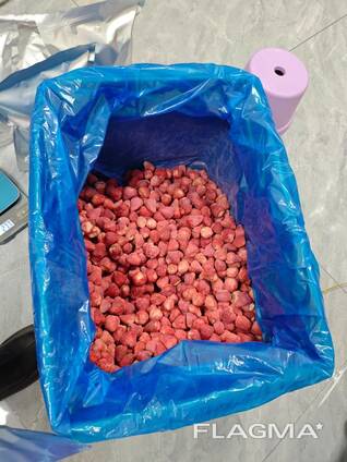 Freeze dried fruits wholesale