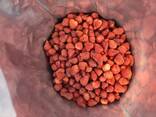 Freeze dried fruits wholesale - фото 13