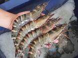 Fresh Shrimps - photo 1