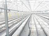 Fully equipped greenhouse for year-around farming - photo 6