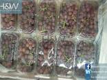 Grapes - photo 2