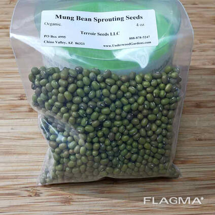 Green mung beans