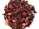 Hibiscus - фото 1