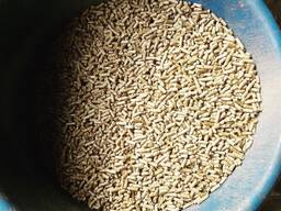High Quality Biomass Wood Pellets