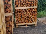 KD oak firewood 1.8 RM boxes 25 cm long - photo 3