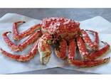 King Crab For Sale / Live Mud Crab Wholesale / Red King Crab for sale/ Whole Alaskan Crab - photo 1