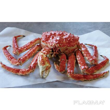 King Crab For Sale / Live Mud Crab Wholesale / Red King Crab for sale/ Whole Alaskan Crab