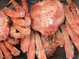 King Crab For Sale / Live Mud Crab Wholesale / Red King Crab for sale/ Whole Alaskan Crab - photo 5