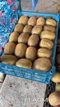 Киви