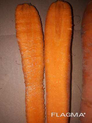 Морковь из Беларуси