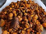 Natural Cattle/Ox Gallstones - фото 2
