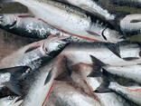 Norwegian salmon - фото 1