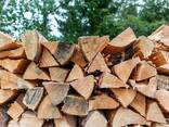 Good price Oak Firewood Kiln - photo 1