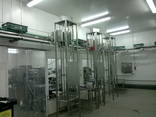 Production of automatic conveyor line - photo 3