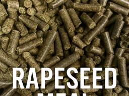 Rapeseed Oil Meal