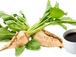 Sugar beet molasses - фото 1