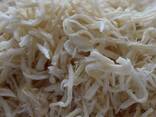 Сушеный кальмар в Финляндию от завода из Китая - фото 2
