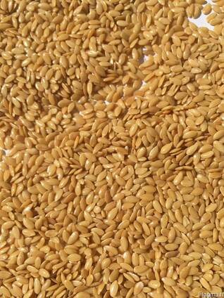 We offer our harvest of 2018: golden flax and confectionery