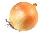 We sell onions - photo 1