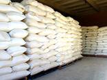 Wheat flour - photo 1